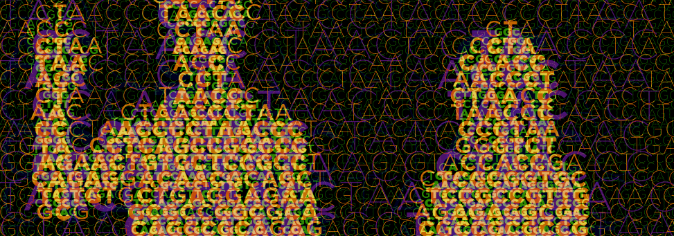 Ascii Dna Julie Hussin's Computational Biomedicine Lab – MHI-omics